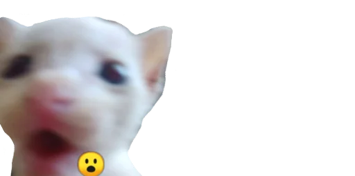 😮 Стикер «b» для Telegram