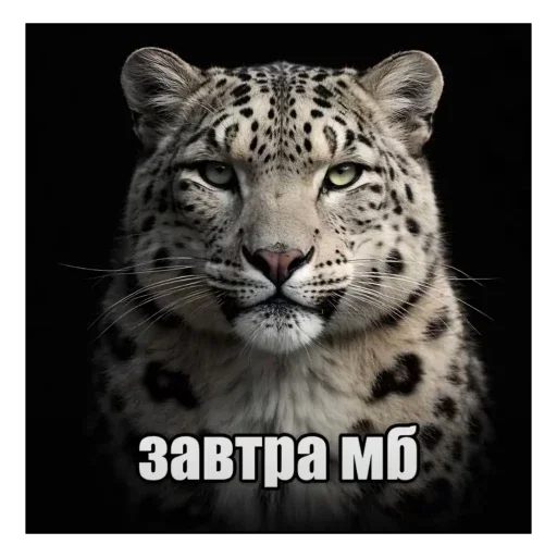 🫥 Стикер «бабизянки» для Telegram