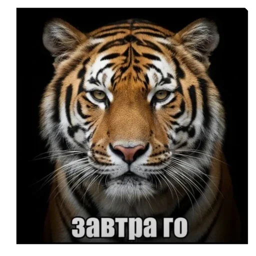 🔥 Стикер «бабизянки» для Telegram