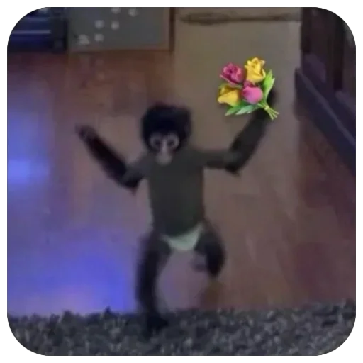 💐 Стикер «бабизянки» для Telegram