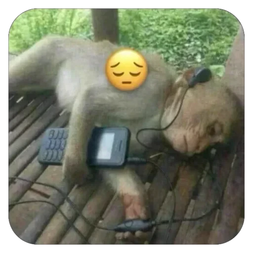 😔 Стикер «бабизянки» для Telegram