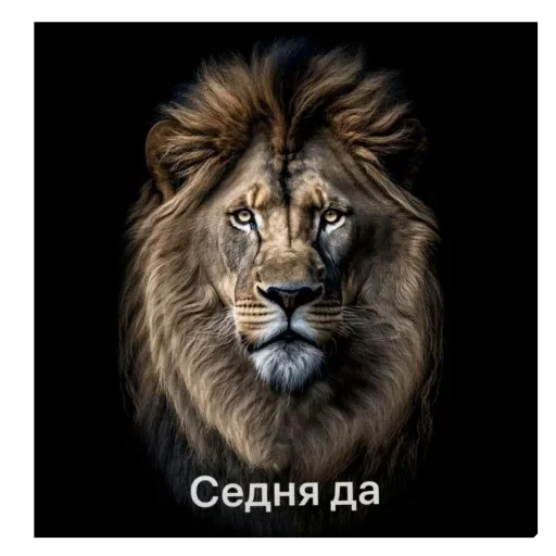 🫥 Стикер «бабизянки» для Telegram
