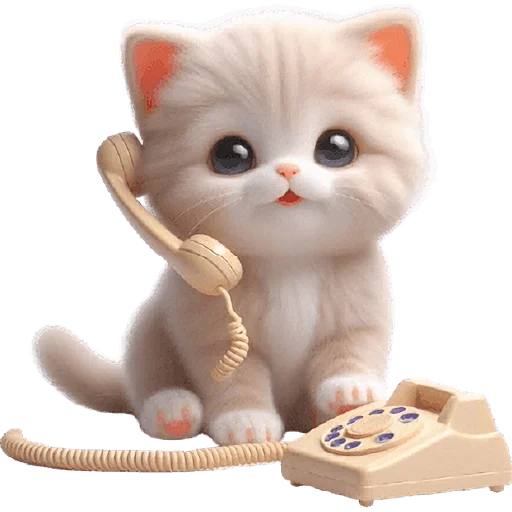 📞 Стикер «Забавный котенок» для Telegram