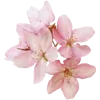 💐 Эмодзи «» для Telegram