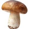 🫥 Эмодзи «Биология» для Telegram