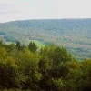 🫥 Эмодзи «Early autumn» для Telegram