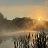 🫥 Эмодзи «Early autumn» для Telegram