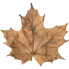 🫥 Эмодзи «Early autumn» для Telegram