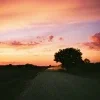 🫥 Эмодзи «Early autumn» для Telegram