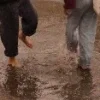🫥 Эмодзи «Early autumn» для Telegram