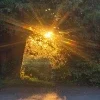 🫥 Эмодзи «Early autumn» для Telegram
