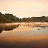 🫥 Эмодзи «Early autumn» для Telegram