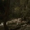 🫥 Эмодзи «Early autumn» для Telegram