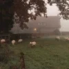 Эмодзи «Early autumn» для Telegram — обложка