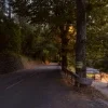 🫥 Эмодзи «Early autumn» для Telegram