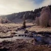 🫥 Эмодзи «Early autumn» для Telegram