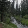 🫥 Эмодзи «Early autumn» для Telegram
