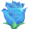 🫥 Эмодзи «Revolutionary Girl Utena» для Telegram