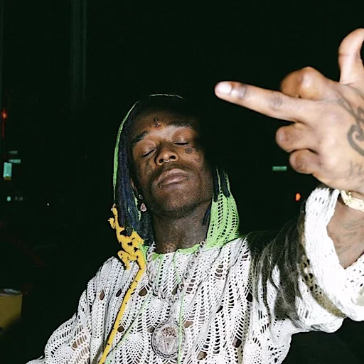 😒 Стикер «lil uzi veeeeeert» для Telegram