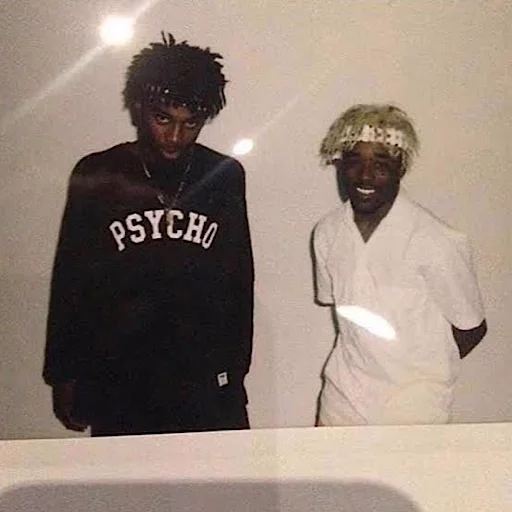 😎 Стикер «lil uzi veeeeeert» для Telegram
