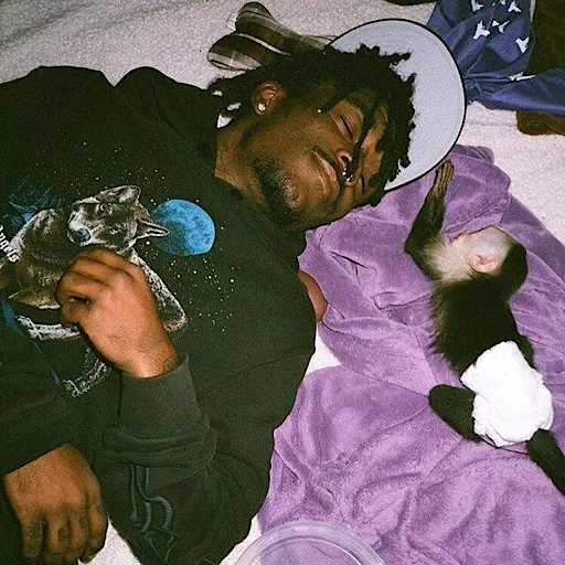 😴 Стикер «lil uzi veeeeeert» для Telegram