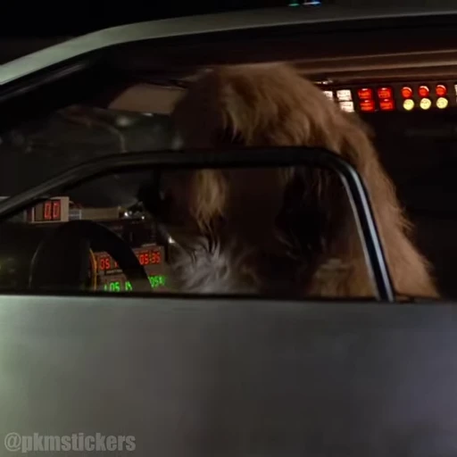 🐕 Стикер «Back To The Future» для Telegram