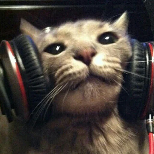 🎧 Стикер «Bahmet&;s pack» для Telegram