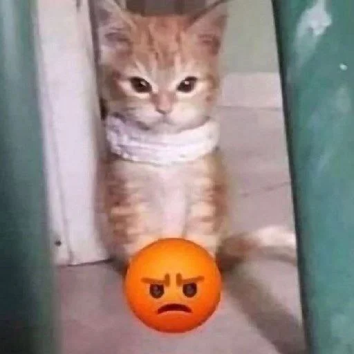 😡 Стикер «Bahmet&;s pack» для Telegram