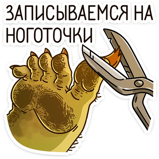 💅 Стикер «Байда» для Telegram