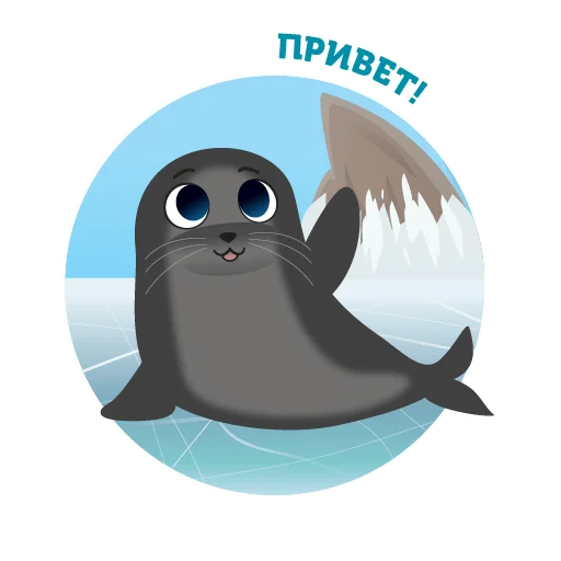 👋 Стикер «Байкальская нерпа» для Telegram
