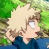 Стикер 17 Bakudeku
