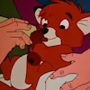 Стикер 10 Lovely Fox Tod
