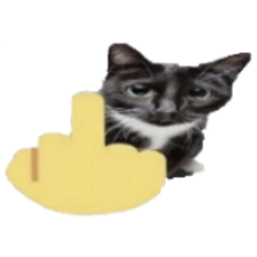 🖕 Стикер «balibarda» для Telegram