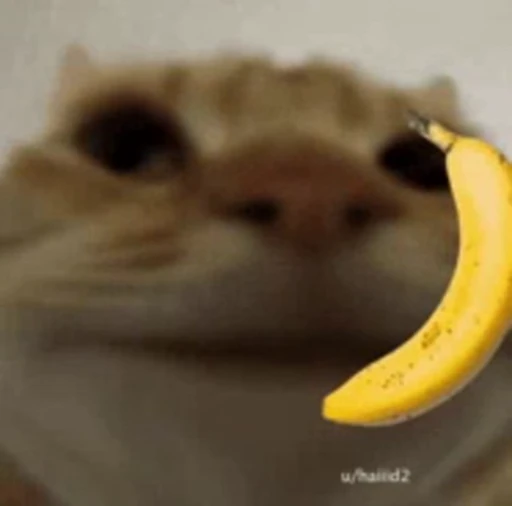 Стикерпак Bananas для Telegram