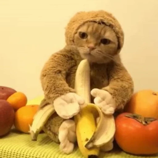 🍌 Стикер «Bananas» для Telegram