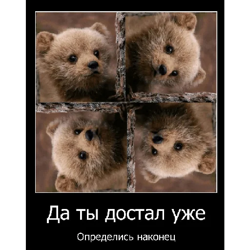 🐻 Стикер «Смешная банда дичи» для Telegram