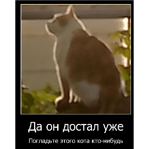 🐈 Стикер «Смешная банда дичи» для Telegram