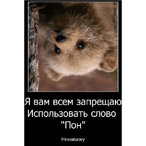 🚫 Стикер «Смешная банда дичи» для Telegram