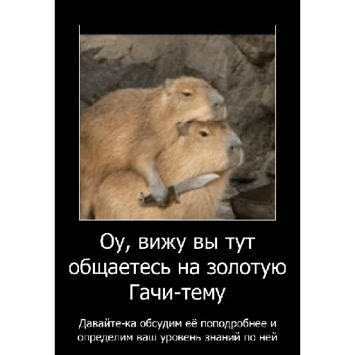 🧐 Стикер «Смешная банда дичи» для Telegram