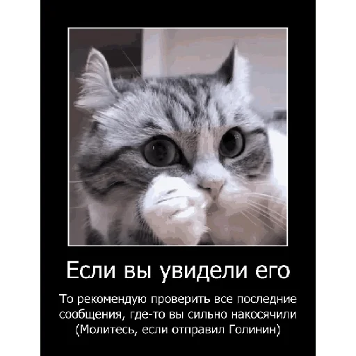 ⚠️ Стикер «Смешная банда дичи» для Telegram