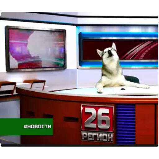 👍 Стикер «Бандит Бублик Кекс Коржик» для Telegram