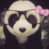 🎀 Эмодзи «bang» для Telegram
