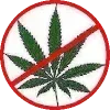 🍁 Эмодзи «bang» для Telegram
