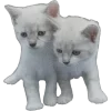 🐾 Эмодзи «bang» для Telegram