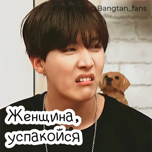 😡 Стикер «Bangtan_fans» для Telegram