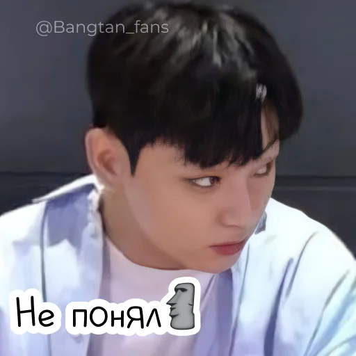 🗿 Стикер «Bangtan_fans» для Telegram
