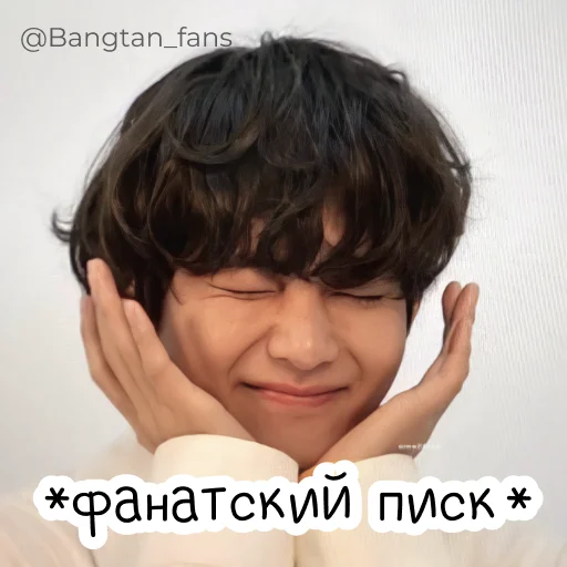 ☺️ Стикер «Bangtan_fans» для Telegram