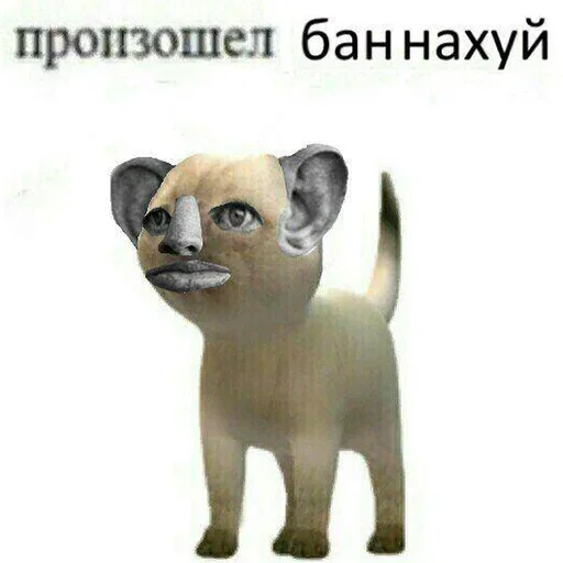😢 Стикер «Бан по причине» для Telegram