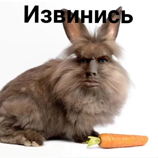 🤩 Стикер «Бан по причине» для Telegram