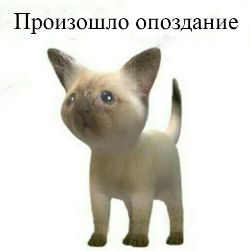 😎 Стикер «Бан по причине» для Telegram